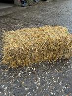 Stro Te Koop, Dieren en Toebehoren, Dierenvoeding, Ophalen, Vee