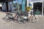 Stella Vicenza & Azzurro l 522wh l 57 & 57 cm