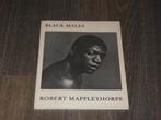 BLACK MALES - ROBERT MAPPLETHORPE, Verzenden, Zo goed als nieuw, ROBERT MAPPLETHORPE, Catalogus