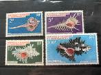 Nouvelles CALEDONIË 1969, Ophalen of Verzenden, Postfris