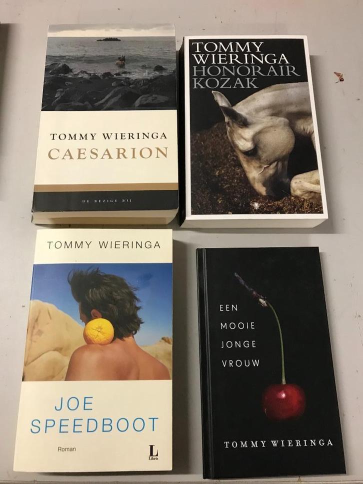 T.K. nog 3 boeken van Tommy Wieringa zie actuele lijst, Boeken, Literatuur, Gelezen, Nederland, Ophalen of Verzenden