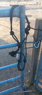 Touwhalsters, diverse maten, Ophalen, Overige soorten