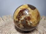 Septarie sphere, Ophalen of Verzenden, Nieuw