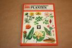 Geneeskrachtige planten - 240 afbeeldingen beschrijvingen, Ophalen of Verzenden, Gelezen, Kruiden en Alternatief