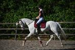 D pony 5jaar, Dieren en Toebehoren, Ruin