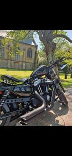 Harley Davidson 1200 Sportster forty eight 2014, Motoren, Motoren | Harley-Davidson, Chopper, Particulier, 1200 cc