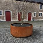 Cortenstaal plantenbakken op maat, Tuin en Terras, Bloembakken en Plantenbakken, Ophalen, 100 cm of meer, Vierkant, Zo goed als nieuw