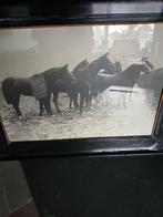 Oud schilderij van galopperende paarden, Antiek en Kunst, Kunst | Tekeningen en Foto's, Ophalen of Verzenden