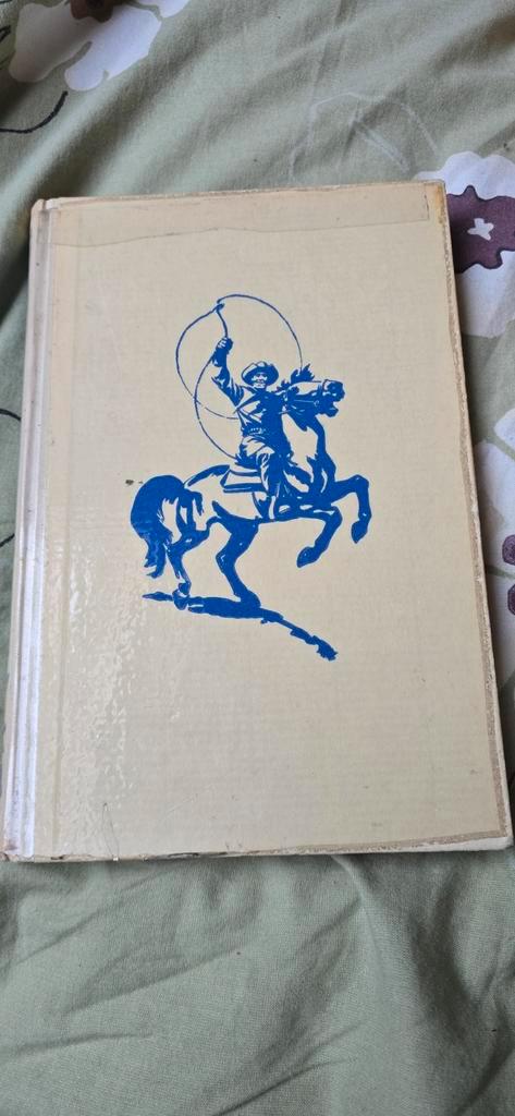 Arendsoog Grijpt In - Nr. 9, 14e Druk, Boeken, Avontuur en Actie, Gelezen, Ophalen of Verzenden