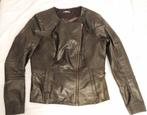 Stoer zwart leren biker jack maat L, Kleding | Dames, Jassen | Zomer, Zwart, Maat 42/44 (L), Nieuw, Ophalen of Verzenden