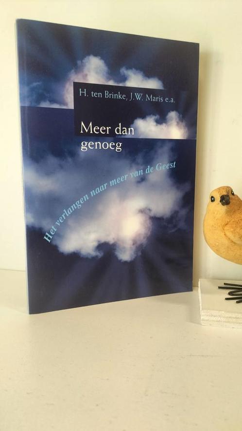 Brinke, H. ten; Meer dan genoeg, Boeken, Godsdienst en Theologie, Gelezen, Christendom | Protestants, Ophalen of Verzenden