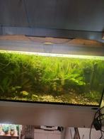 Wegens annuleren nogmaals te koop 2 aquariums, Dieren en Toebehoren, Ophalen of Verzenden, Gebruikt, Leeg aquarium
