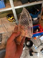 Vivacity kinpperlicht glazen, Fietsen en Brommers, Ophalen of Verzenden