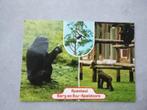 Apeldoorn, Berg en Bos, Apenheul, gorilla's 1981, Verzamelen, Ansichtkaarten | Nederland, Verzenden, 1980 tot heden, Gelopen, Gelderland