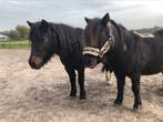 Pony rijles aangeboden!, Ophalen of Verzenden