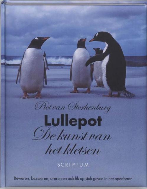 Lullepot van Piet van Sterkenburg, Boeken, Studieboeken en Cursussen, Gelezen, HBO, Beta, Ophalen of Verzenden