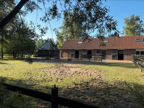 Kleinschalige prive stalling aan huis 1-2 plekjes vrij, Dieren en Toebehoren, Stalling en Weidegang, Stalling