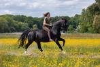 Instructrice Maybel, Diensten en Vakmensen, Dieren | Paarden | Verzorging, Oppas en Les, Paardrijles of Ponykampen