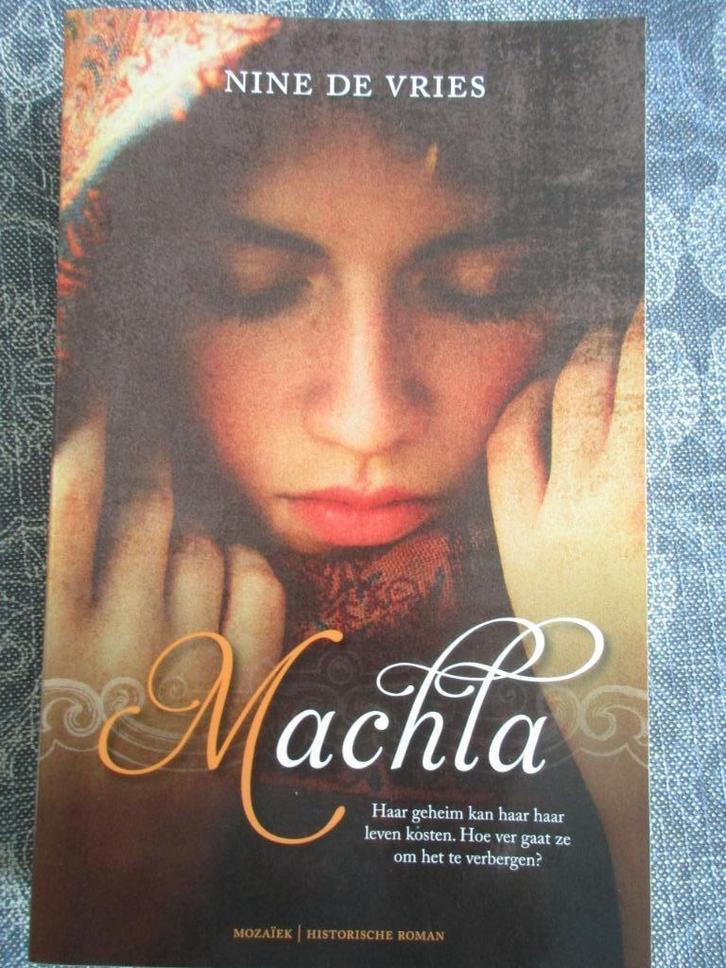 chr roman van Nine de Vries - MACHLA - zgan !!, Boeken, Romans, Zo goed als nieuw, Ophalen of Verzenden