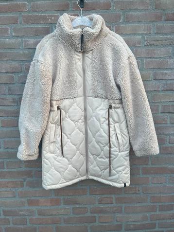 Brunotti / Teddy Jas | Créme beschikbaar voor biedingen