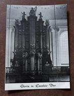Foto kaart Evangelisch-Lutherse kerk Den Haag, Verzamelen, Foto, Ophalen of Verzenden, Zo goed als nieuw, Voor 1940