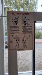 Technogym Rotarytorso, Ophalen, Gebruikt, Krachtstation