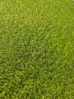 Kunstgras 30mm met mosdraad - €14,95/m², Ophalen of Verzenden