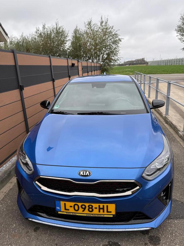 Kia (Pro) Cee d 1.6 T-gdi 204pk Ecodynamics Dct7 2019 Blauw, Auto's, Kia, Bedrijf, (Pro) Cee d, ABS, Achteruitrijcamera, Adaptieve lichten