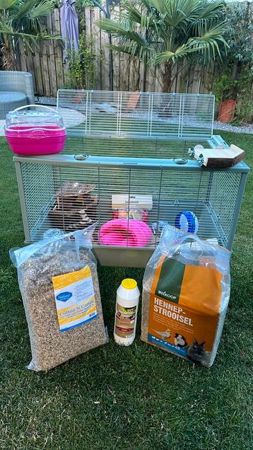 Hamster startpakket beschikbaar voor biedingen