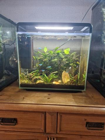 Superfish home 25 draaiend aquarium  beschikbaar voor biedingen