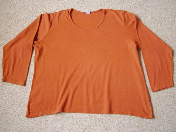 Oranje shirt xxl, Kleding | Dames, T-shirts, Gedragen, Maat 46/48 (XL) of groter, Oranje, Lange mouw, Ophalen of Verzenden