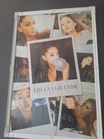 Ariana grande schilderij, Verzamelen, Muziek, Artiesten en Beroemdheden, Ophalen, Gebruikt