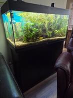 Juwel aquarium, Ophalen, Zo goed als nieuw, Leeg aquarium
