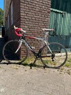 Racefiets volledig carbon CKT 368 campagnolo 1.75m, Gebruikt, Carbon, Heren, Meer dan 20 versnellingen