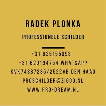 Renovaties Schilderen Lakken beschikbaar voor biedingen