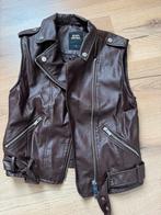 Dames gilet leer Seven sisters Costes bruin S, Bruin, Seven Sisters, Nieuw, Ophalen of Verzenden