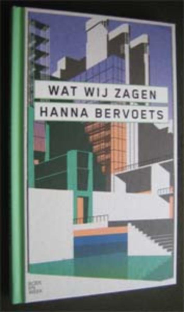 Hanna Bervoets : Wat wij zagen, Boeken, Boekenweekgeschenken, Zo goed als nieuw, Ophalen of Verzenden