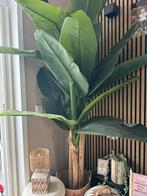 Kunstplant bananenboom, Tuin en Terras, Planten | Bomen, Bloeit niet, Overige soorten, 100 tot 250 cm, Ophalen