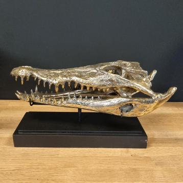 krokodil op standaard 36 cm messing beeld schedel goud beschikbaar voor biedingen