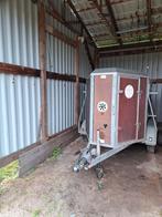 TE KOOP mooie veetrailer, Vrouwelijk, Schaap
