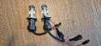 2x H4 xenon blue Triumph Rocket III, Verzenden, Nieuw, Triumph
