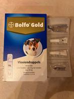 Bolfo gold vlooiendruppels 2 pipetten, Ophalen of Verzenden, Hond