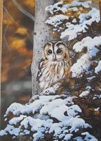dubbele nieuwe kerstkaart van Otterhouse met uil in sneeuw, Ophalen of Verzenden, Nieuw