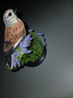 ️ Titel:

Beeldje vogel op bloemen – handbeschilderd, natu, Mannelijk, Postduif