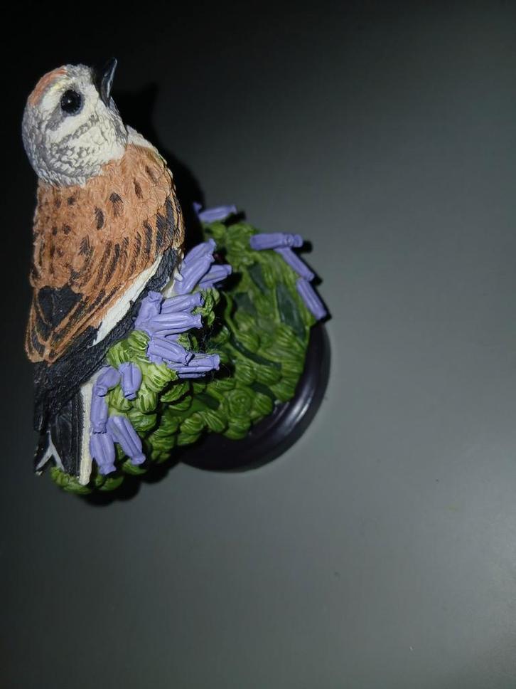 ️ Titel:

Beeldje vogel op bloemen – handbeschilderd, natu, Dieren en Toebehoren, Vogels | Duiven, Postduif, Mannelijk