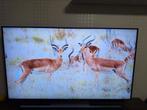 Sony bravia 65 inch, Ophalen of Verzenden, Zo goed als nieuw, 100 cm of meer, Sony