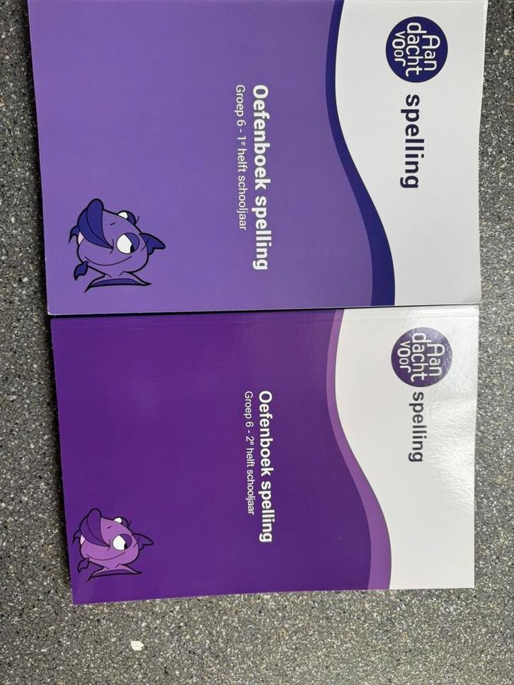 Oefenboeken - hele set Groep 6 - Wijzer op de basisschool, Boeken, Schoolboeken, Zo goed als nieuw, Nederlands, Overige niveaus