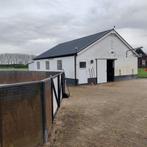 Pensionstal Zevenaar heeft één stal vrij, Dieren en Toebehoren, Weidegang, 1 paard of pony