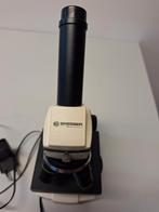 Euromex Microscoop, Bvt, Ophalen of Verzenden, Zo goed als nieuw, Nvt