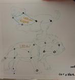 Mooi schilderij, 'mijn eerste sterrenbeeld'., Ophalen of Verzenden